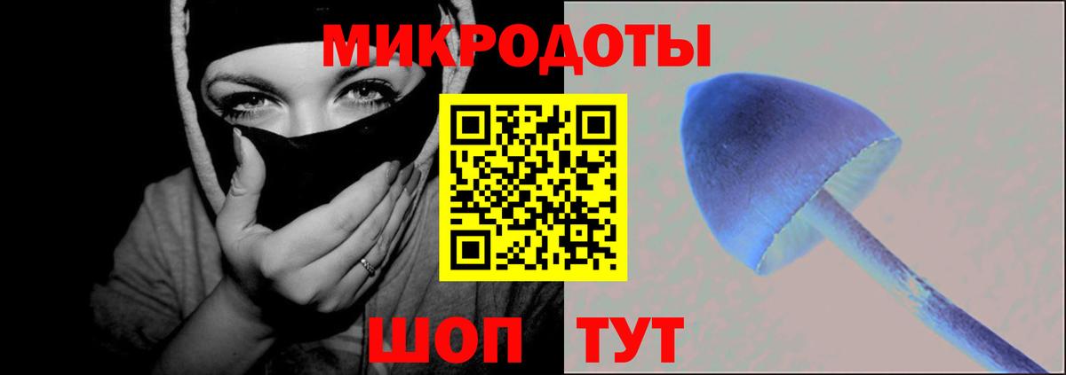 Красногорск  Псилоцибиновые грибы MAGIC MUSHROOMS  Вход с VPN 